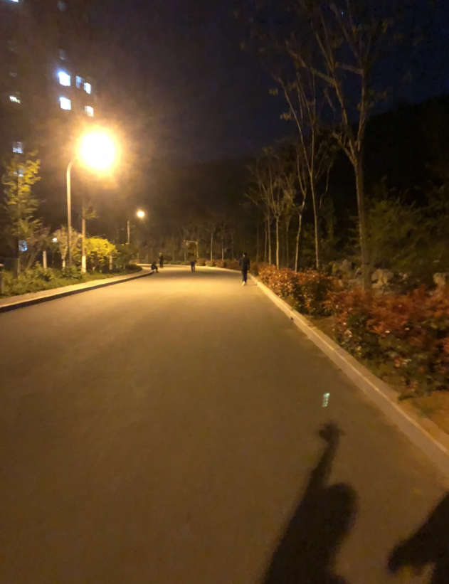 想减肥，一起夜跑有动力，自己跑着跑着就不想跑了