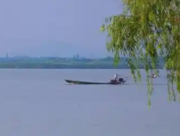 渚湖野生湿地生态